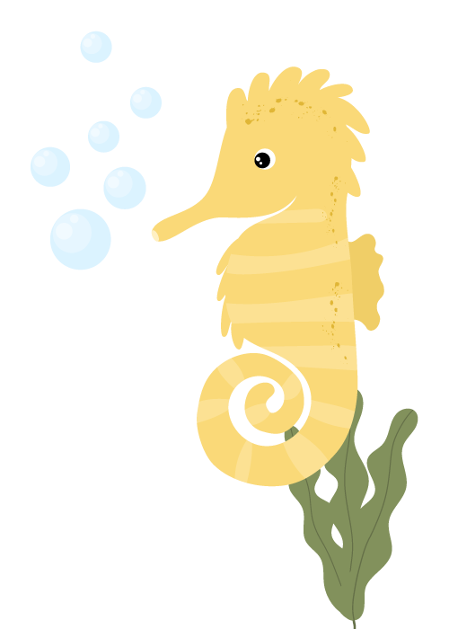 seahorse